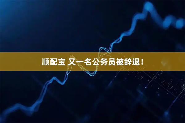顺配宝 又一名公务员被辞退！