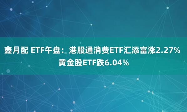 鑫月配 ETF午盘：港股通消费ETF汇添富涨2.27% 黄金股ETF跌6.04%