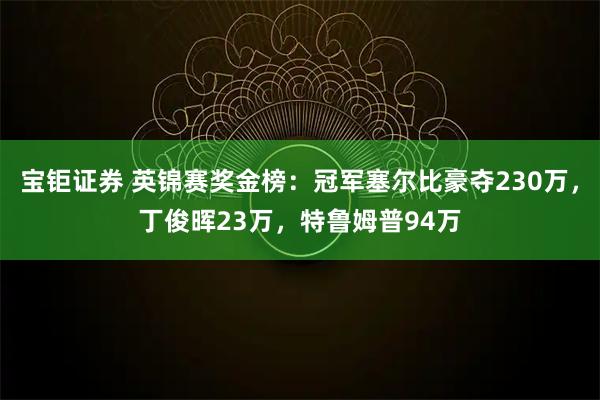 宝钜证券 英锦赛奖金榜：冠军塞尔比豪夺230万，丁俊晖23万，特鲁姆普94万