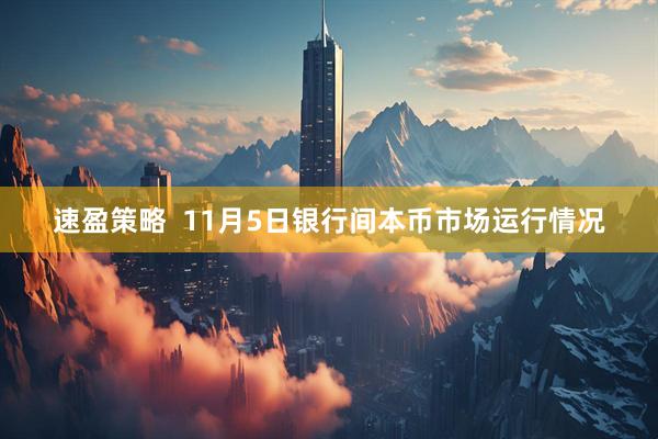 速盈策略  11月5日银行间本币市场运行情况